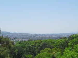 南の景色