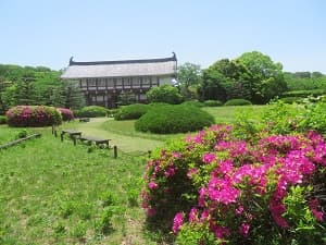 ツツジと櫓門