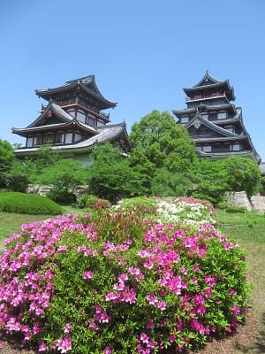 天守閣とツツジ