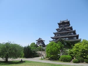 新緑と天守閣