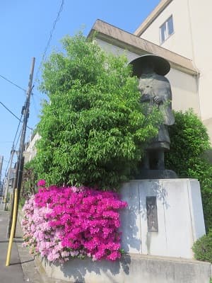親鸞聖人とツツジ