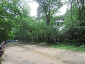 馬場