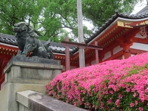 サツキと狛犬