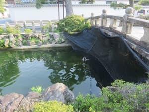 清涼池