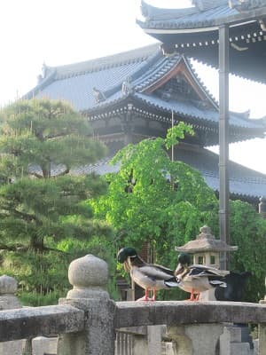 開山堂