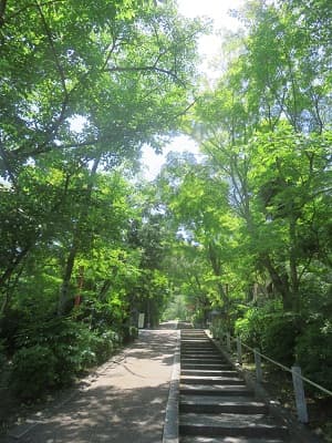 参道