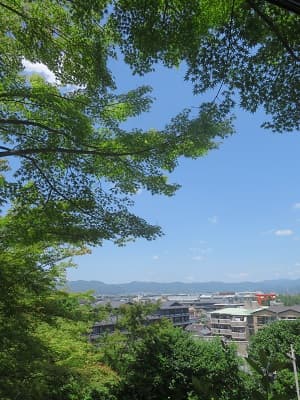 展望台からの眺め