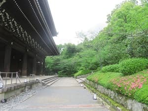 三門裏のサツキ