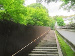 智慧乃道