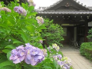 アジサイと玄関