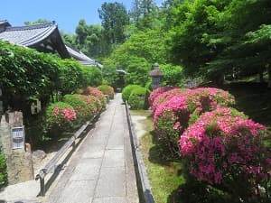 参道