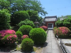 唐門から見る参道