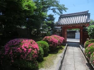 サツキと山門