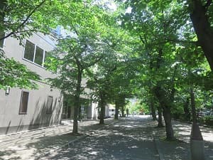 祇園白川の入り口