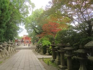 参道