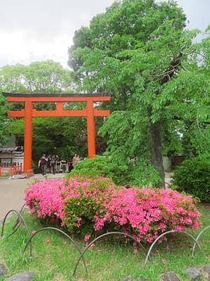 サツキと鳥居