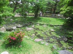 小川とサツキ