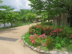 サツキと緑