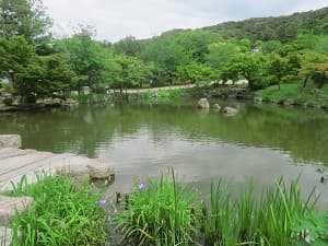 池