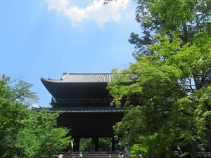 三門とカエデ