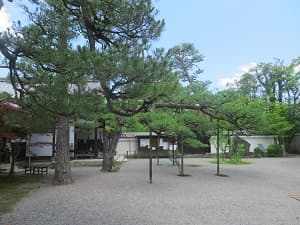 境内
