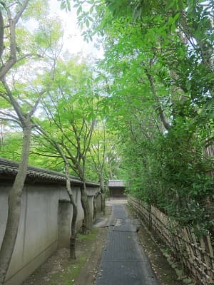 南側の参道