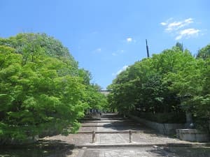 参道