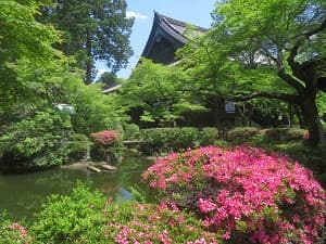 サツキと本堂
