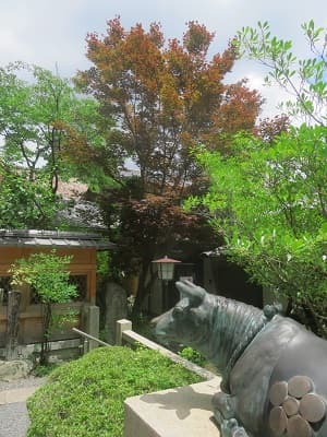 牛の顔