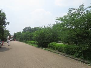 人少ない遊歩道