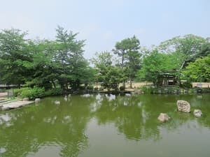 池