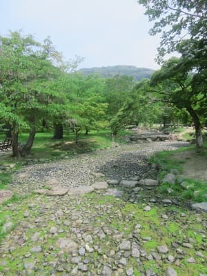 涸れた小川