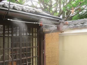 ミスト