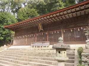 石段と本殿