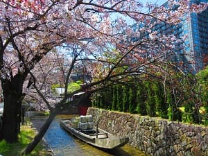 桜と一之船入