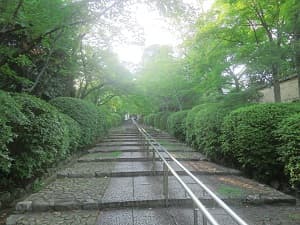 見上げる参道