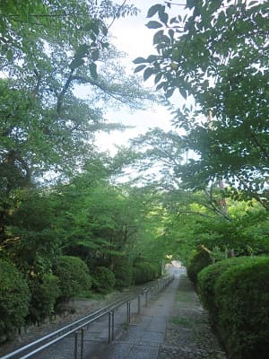 見下ろす参道