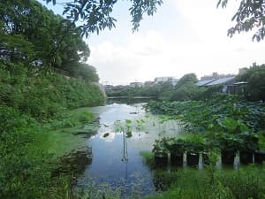 西側の堀