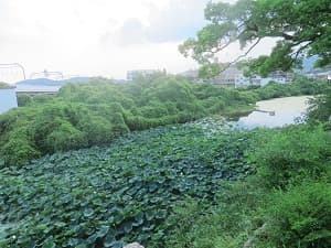 南側の堀