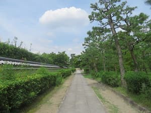 西側の参道
