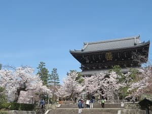 春の金戒光明寺