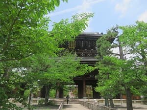 夏の金戒光明寺