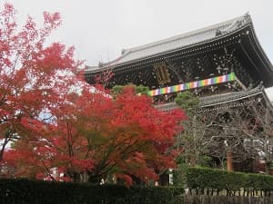 秋の金戒光明寺