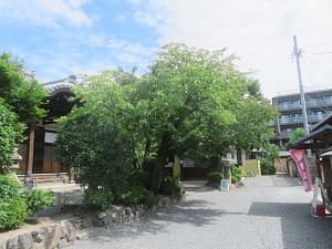 総受付付近