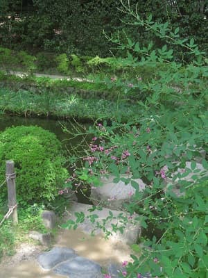 萩と臥龍橋