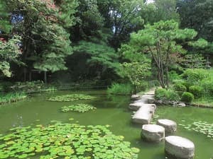 臥龍橋を渡る