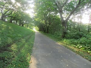 北側の遊歩道