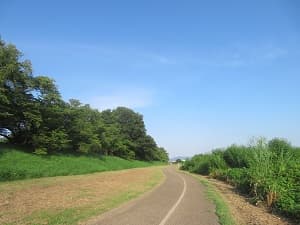 南側の遊歩道