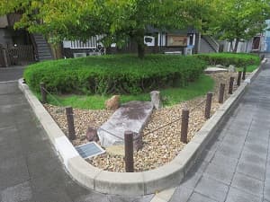 西側の雨庭