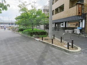 西端から見た雨庭